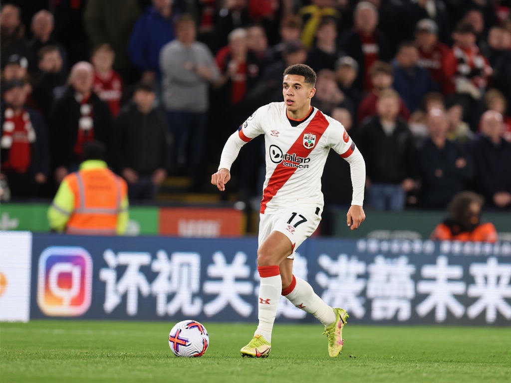 全部的进攻 全部的进攻