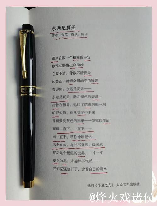 新大众文艺·文学沙龙聚焦“胡松夏诗歌现象”